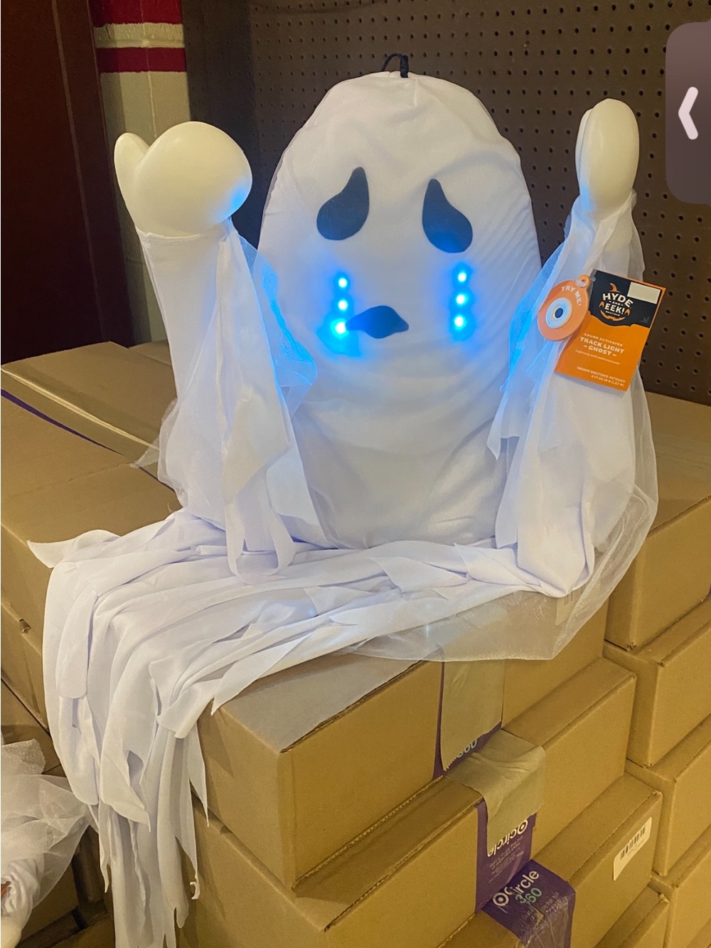 Hyde and EEK! Track Light(sad/tears)Ghost 42"  6  Sound Activated Phrases*